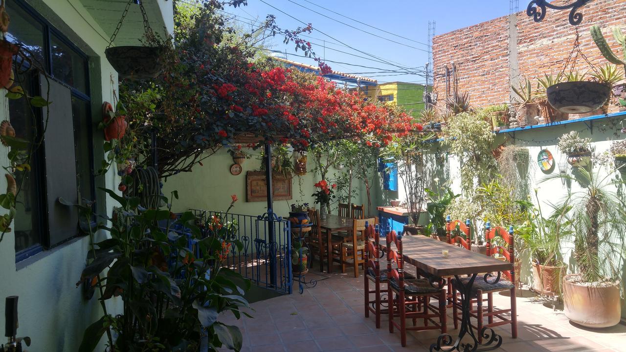 فندق سان ميغيل دي اللينديفي  Casa Papaya San Miguel المظهر الخارجي الصورة