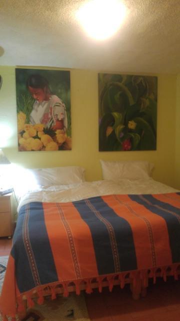 فندق سان ميغيل دي اللينديفي  Casa Papaya San Miguel المظهر الخارجي الصورة